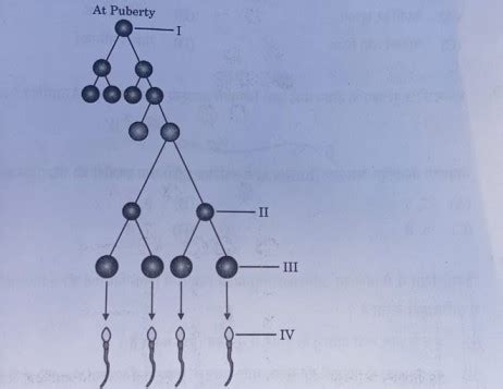 Skool Guru - Best Online Tuition Platform For Academic Classes KG - 12