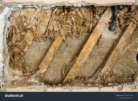 Primitive Cement 的图像结果