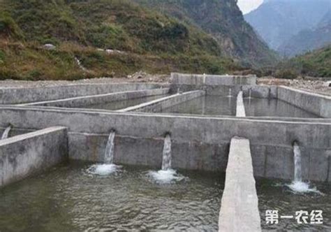 为何有时水质浑浊 杭州的自来水可以直接喝的？-环保频道-浙江在线