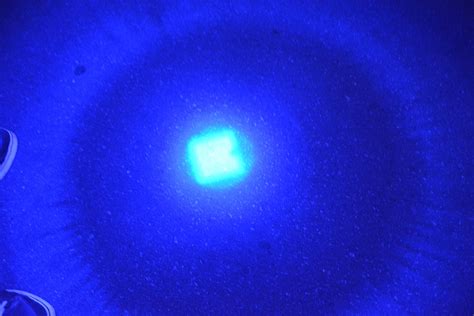 Mua Scalable Blue LED 3 Mode Long Range Blue Beam Blue Light Flashlight ...