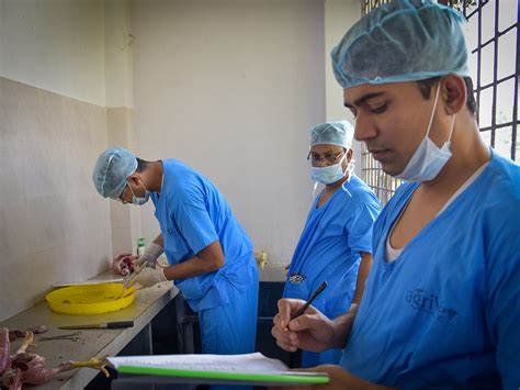 Agrivet Research & Advisory