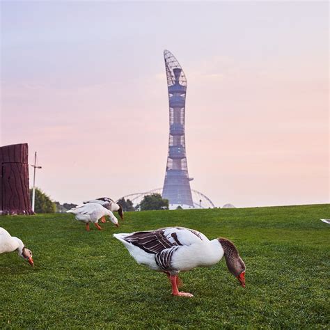 ASPIRE PARK (2026) All You Need to Know BEFORE You Go (with Photos ...