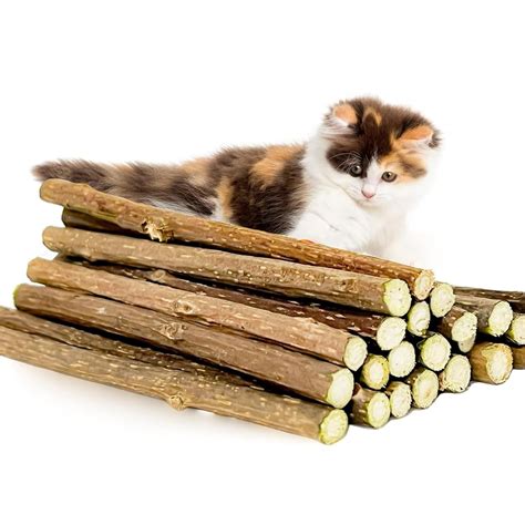 Buy Emily Pets 15PCS Silvervine Sticks, Matatabi Dental Sticks Cat Toys ...