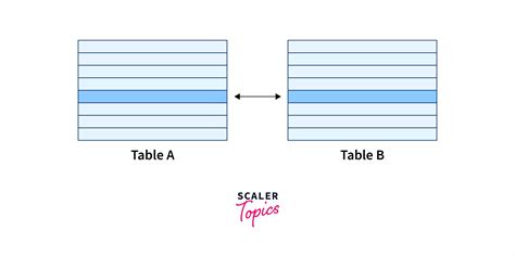 Image result for Relationship Types in DBMS