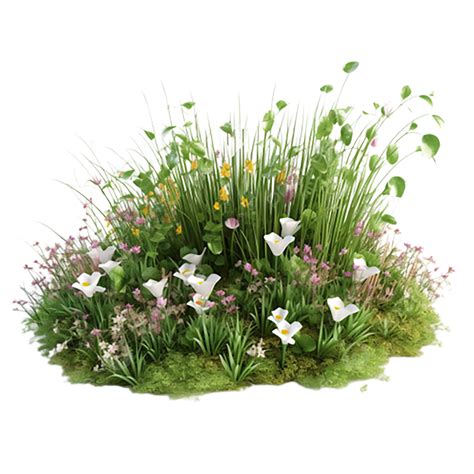 Grass White Flowers Landscape, Plant Flowers, White, Landscape PNG ...