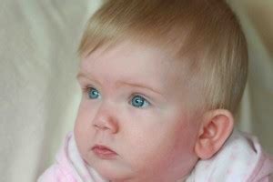 Cute Baby Boy With Blue Eyes Poster For Nursing Home, Living Room, Baby ...