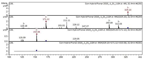 Spatial Distribution of Polyphenolic Compounds in Corn Grains (Zea mays ...
