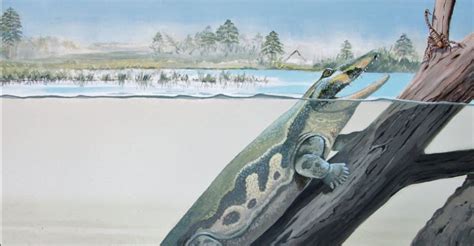 New Fossils Offer First Evidence of Four-Legged Aquatic Ancestors in ...