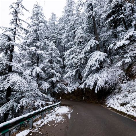 hill station in india Archives | Travel and Leisure Asia | India