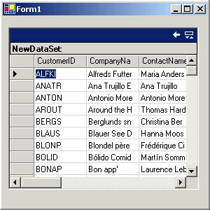 DataGrid VB.NET 的图像结果