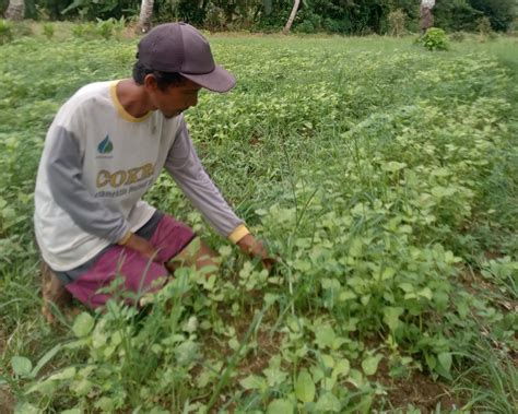 Jadi Pengupas Kelapa, Bantu Perjuangan Fikri Bertahan Hidup - BerkahYatim