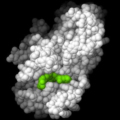 Bildergebnis für amylase