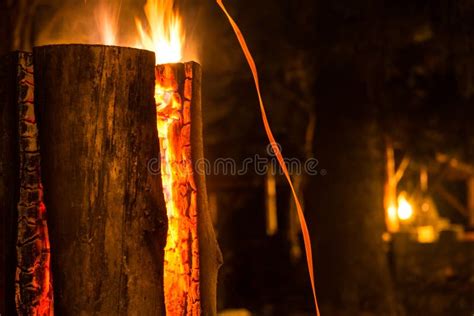 Image result for Long Log Fire