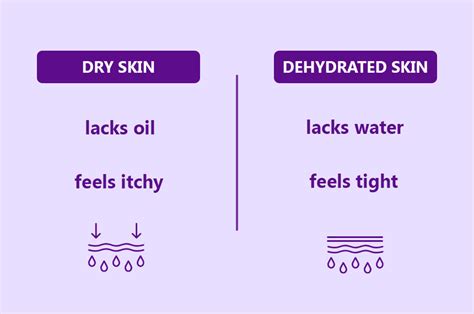 What Are Skin Toners & Do I Really Need One? – Plum