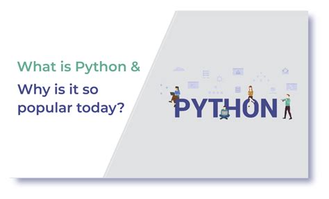 Why Is Python so Popular 的图像结果