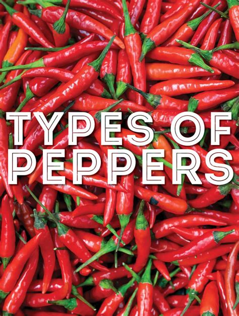 29 Types of Peppers from Mild to Hot (With Photos!)