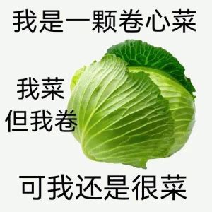 Image result for Alien Basketball Concept