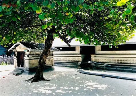 Image result for Passcode Male City