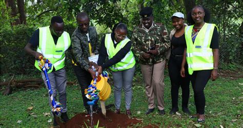 Image result for Tree-Planting Exercise