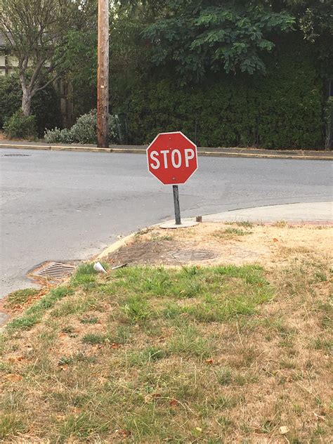 Image result for Temporary Stop Sign