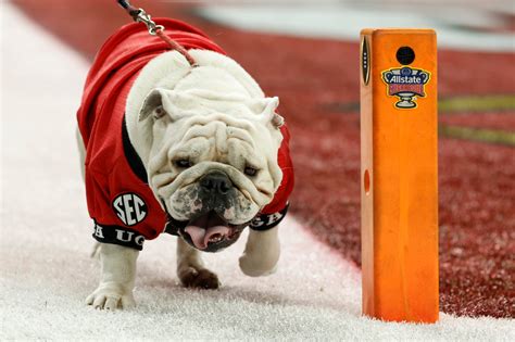 Northwestern vs CMU channel today, time, TV schedule, streaming info