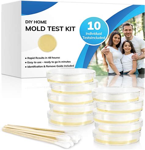 Amazon.com: Mold Test Kit for Home, 10 Detection Tests for HVAC ...