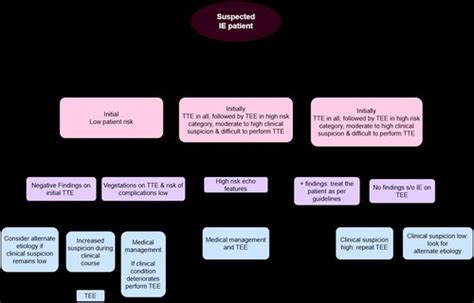 India's National Guidelines on Antimicrobial Use in Infectious Disease ...