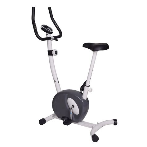 Lily Bi (@lilybi_fitness) • Instagram photos and videos