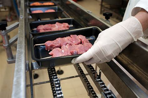 Image result for Field Beef Processing