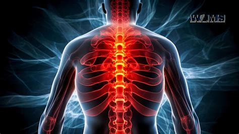 Lower Back Alignment 的图像结果