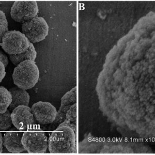 Imaging Signal Resolution for Sem 的图像结果