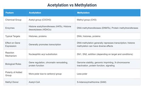 Acetylation vs Methylation