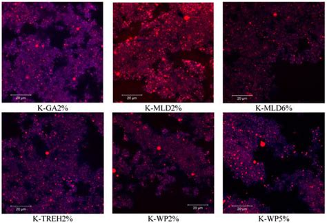 Dairy | An Open Access Journal from MDPI