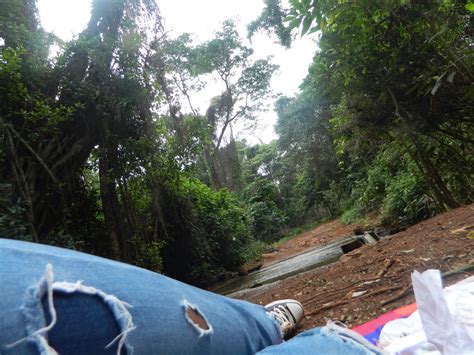 Image result for LS Land Issue