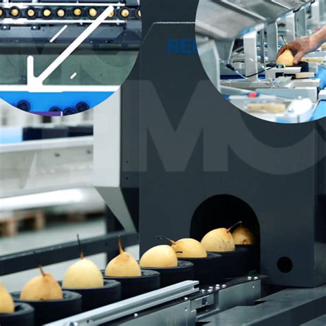 Reemoon India- Fruit Sorting and Grading Machine, sorter, Grader ...