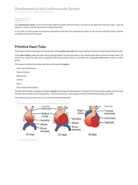 Image result for Graph Abstract Heart Development
