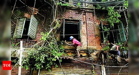 Neuroscience: Concrete Chunk From Old, Empty Bldg Falls On Man ...
