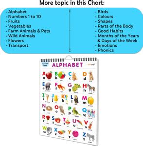 My First ALL IN ONE SPIRAL CHART : Chart For Children, Learning Chart ...