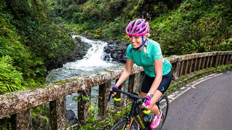 Ifit Demo 的图像结果