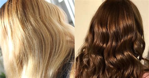 10 Facts About Brunettes - Facts.net