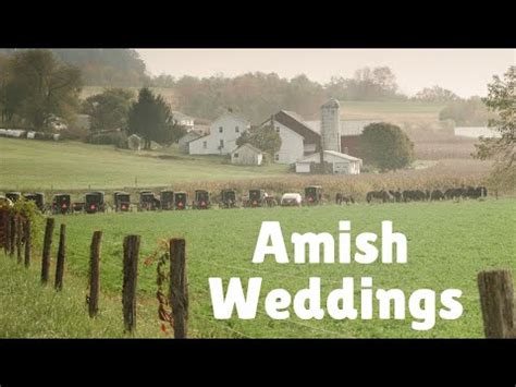 Amish Bride 的图像结果