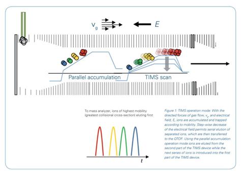 Clinical Proteomics Study | Solutions | Bioinnovations