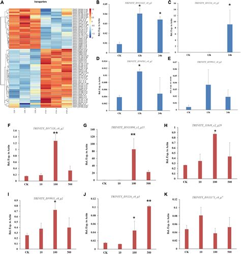 Frontiers | Urate oxidase from tea microbe Colletotrichum camelliae is involved in the caffeine ...
