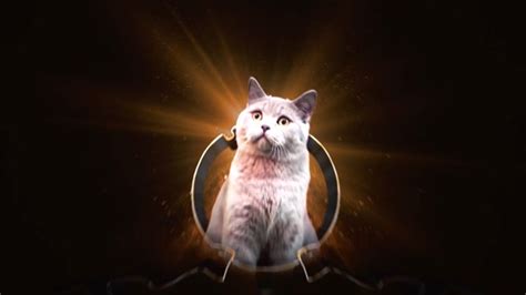 Image result for Ultimate Movie Intro Collection