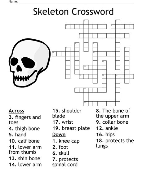skeleton system Crossword - WordMint