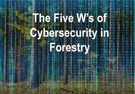 Image result for Forest and Trees Cyber Security Software