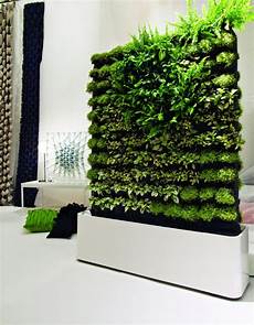 parete giardino tendenze green il giardino verticale i murr parete giardino tendenze green il giardino verticale i murr
