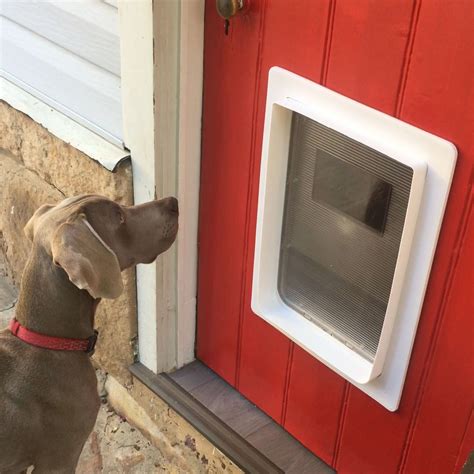 Large Dog Door for Timber, Supplied & Installed - Sydney Wide Pet Doors