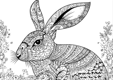 Realistic Rabbit Coloring Pages