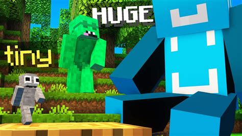 Image result for Minecraft Java Size Command